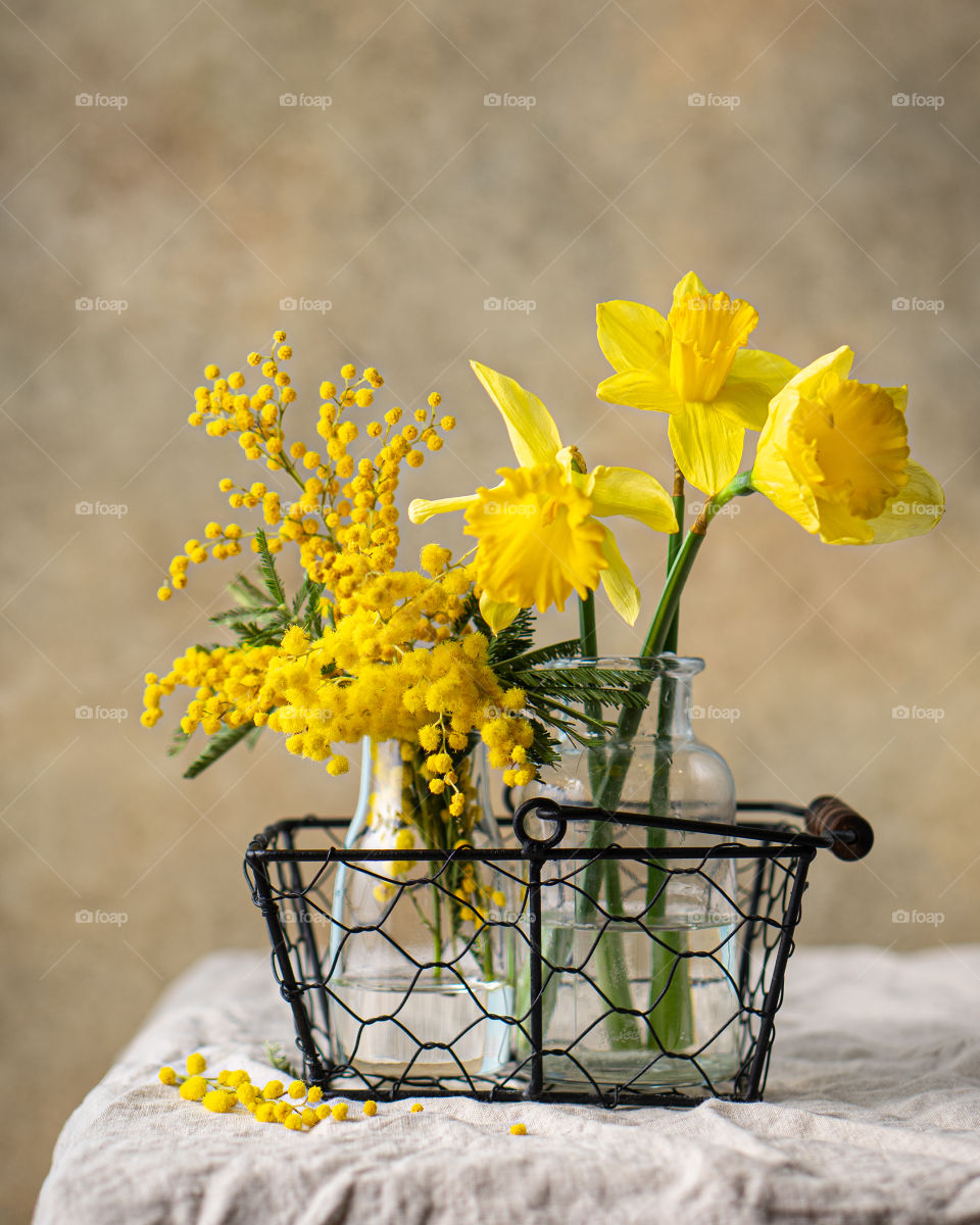 Mimosa and Daffodils