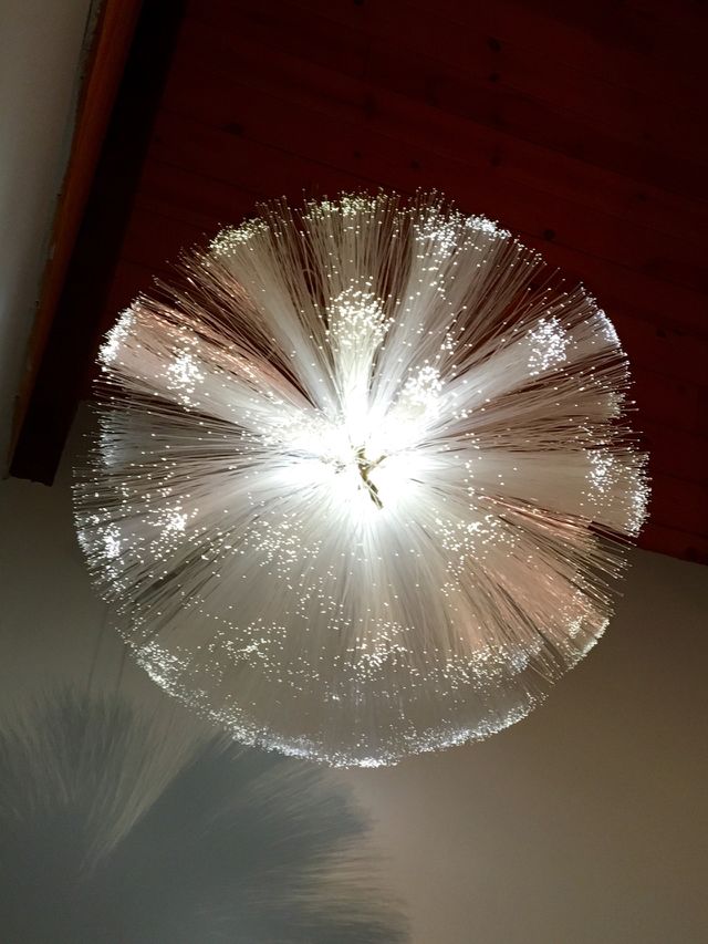 Fiber optic light
