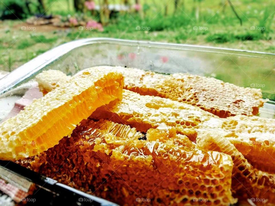 delicious honey