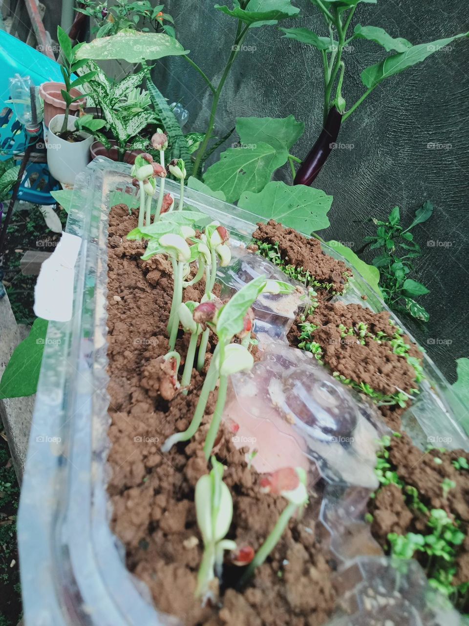 Earth Day is an annual event to demonstrate support for environmental protection and sustainable practices by this we learn to invest in our planet