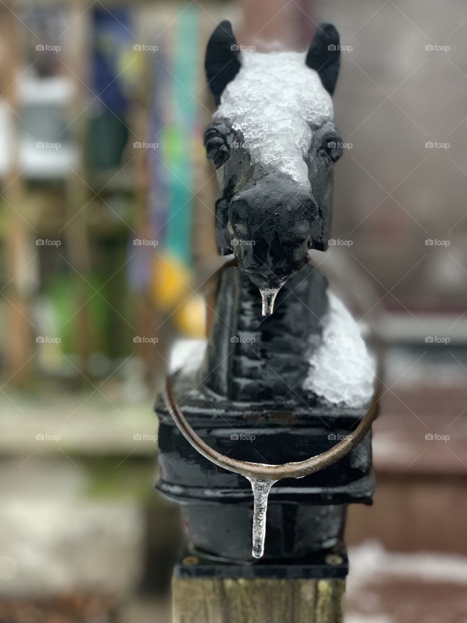 Winter Hitching Post