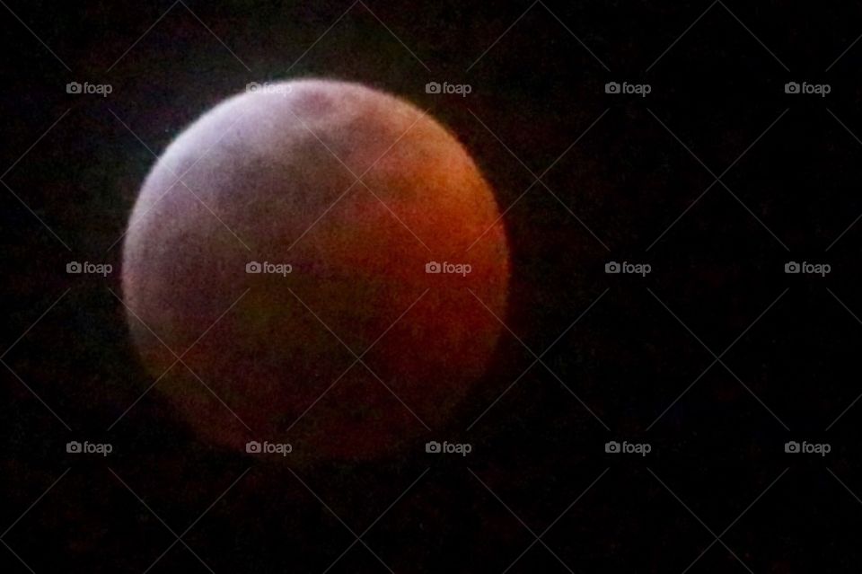 Super Wolf blood moon eclipse 