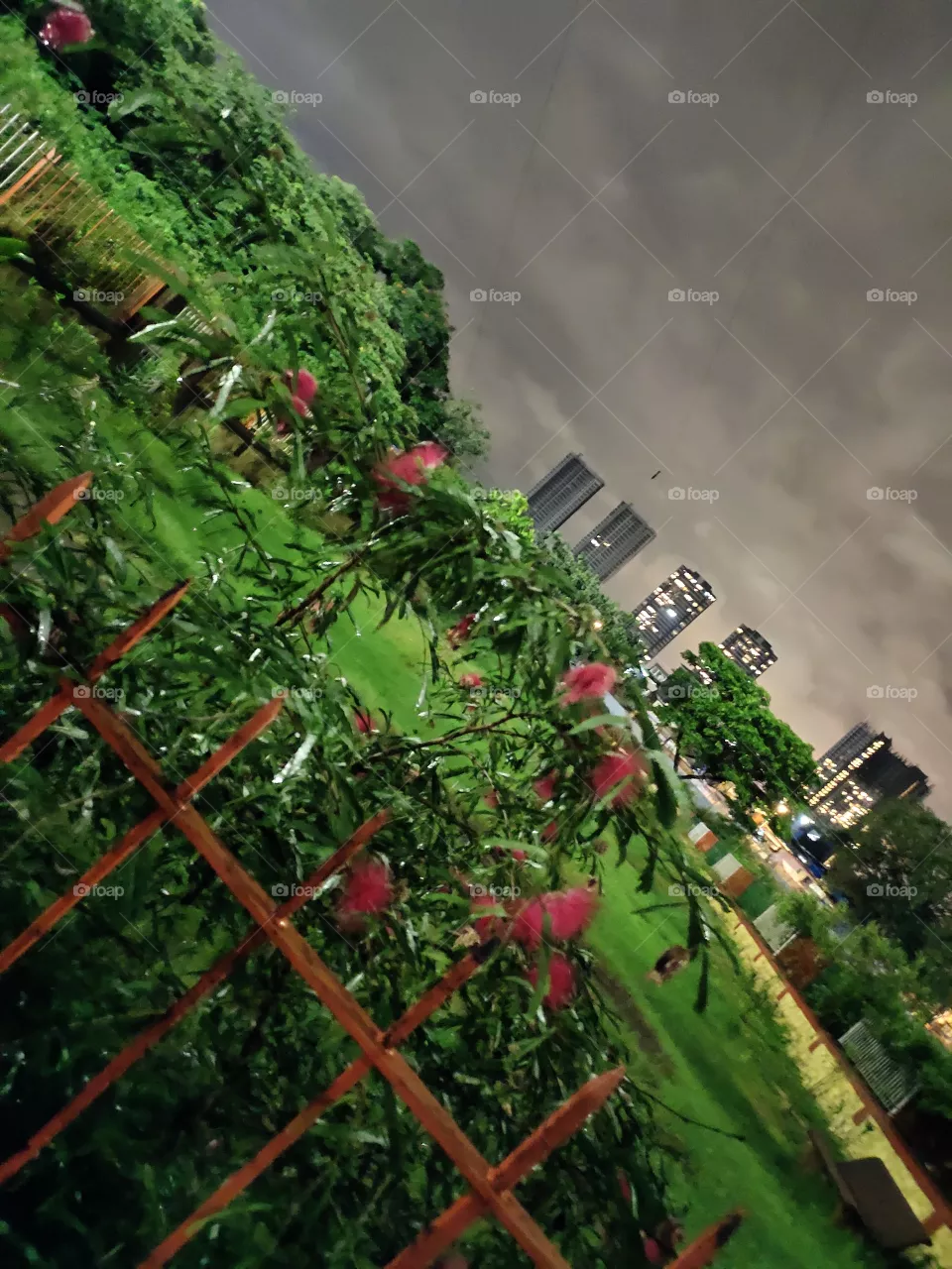 Amazing Combination of Nature
Behind the Bars...
Cloudy sky ⛈️🌨️🌌
Flower plant🌺🌺
Green Park 🍀🌿
Multistorey Buildings