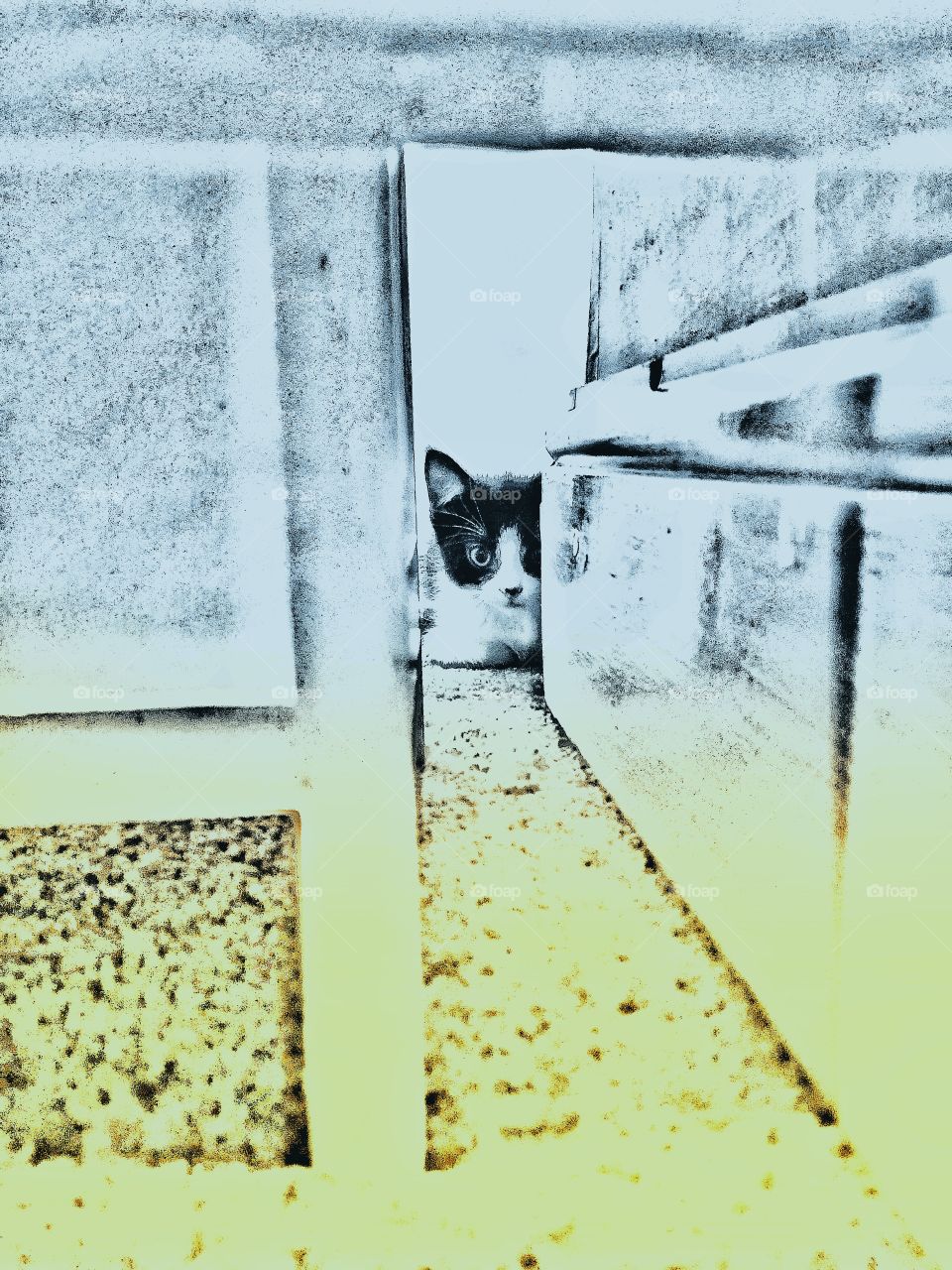 playing with colours