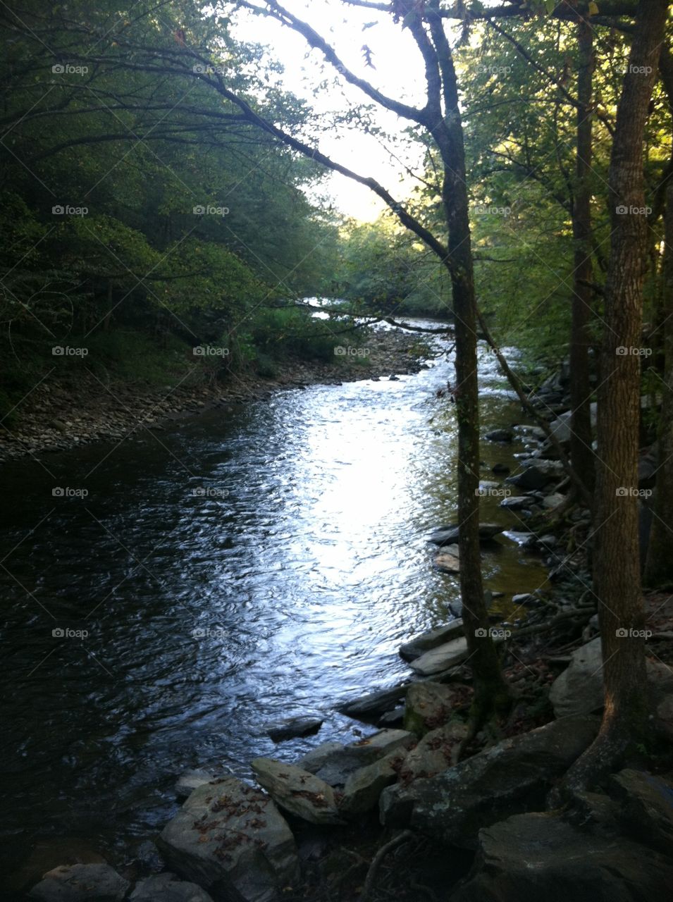 Stream in Smoky Mountains. Gentle flowing stream in the smokies