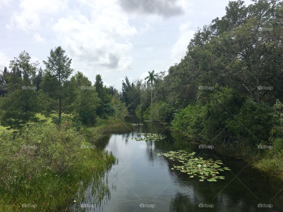 South Florida Everglades canal