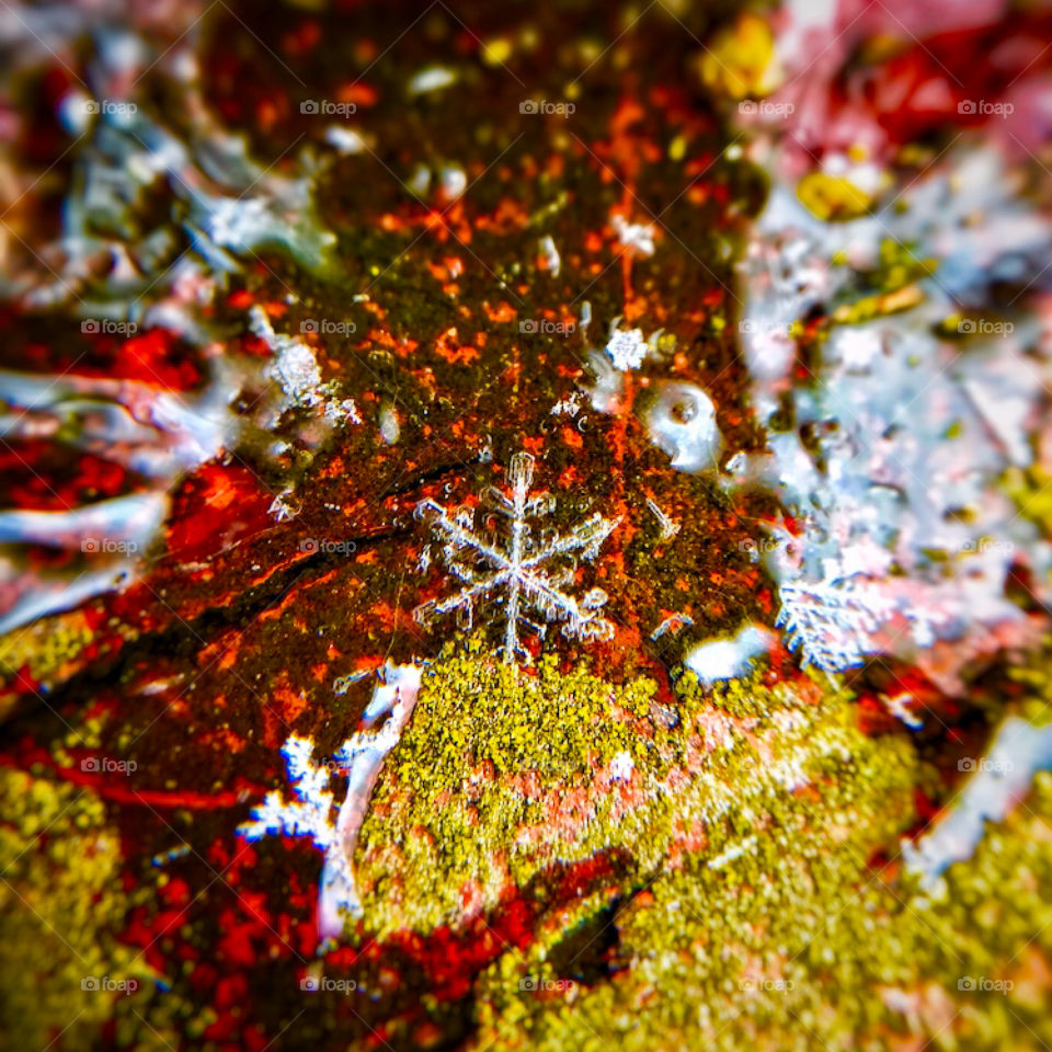 Macro shot of a snowflake—taken in Dyer, Indiana 