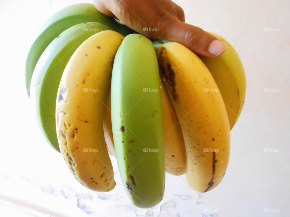 Holding a Hand  of Ripe and Turn Bananas