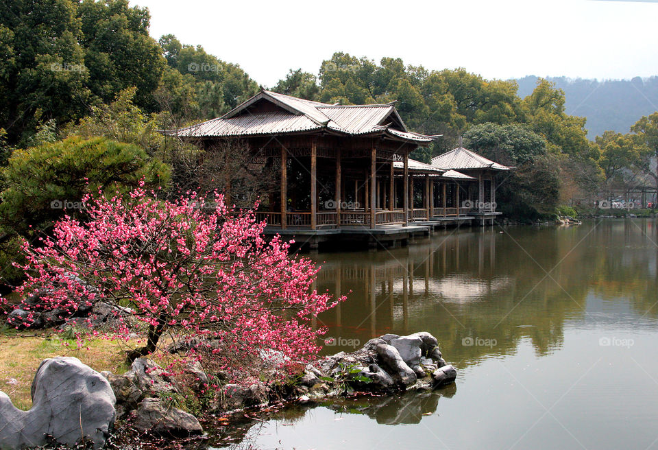 Scenic view of temple at lake side