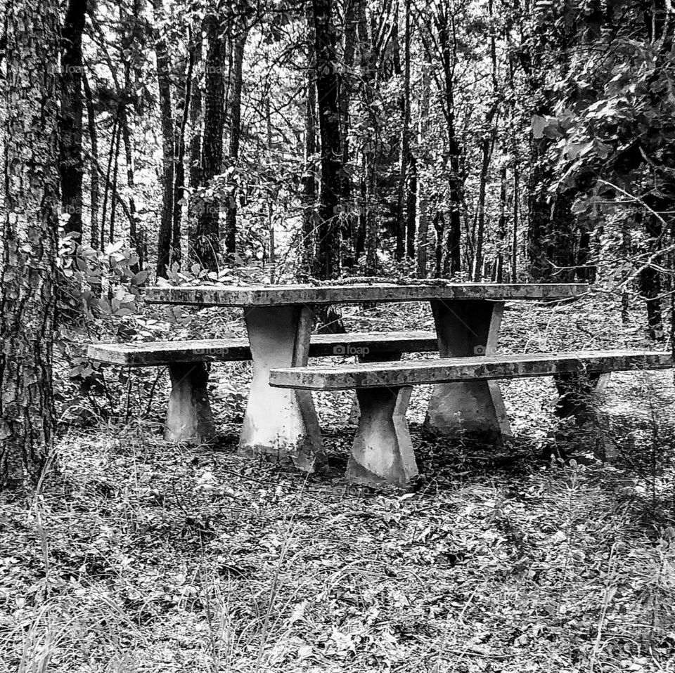 Monochrome Dramatic Picnic Table