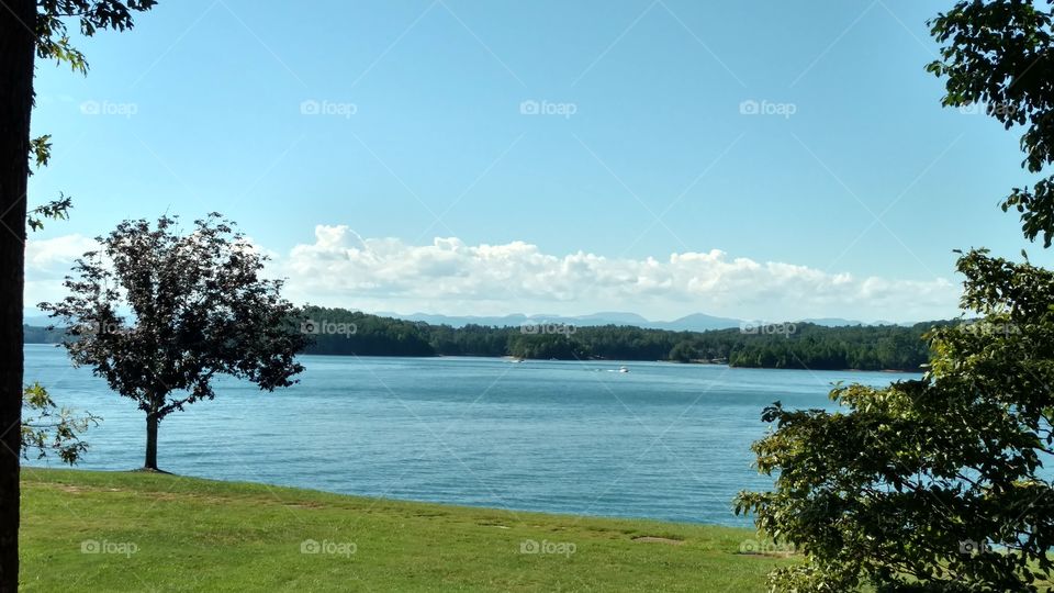 Tree, Landscape, No Person, Water, Nature