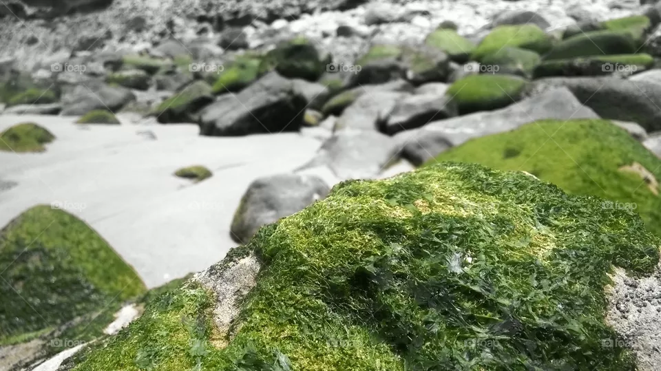 beach