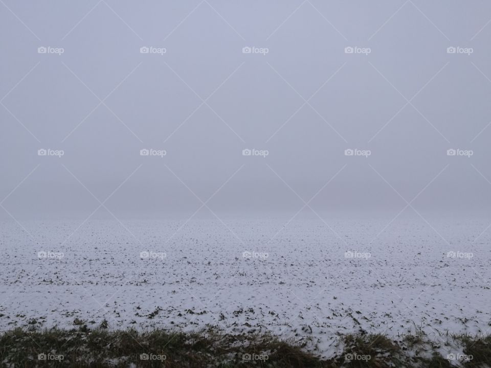misty field