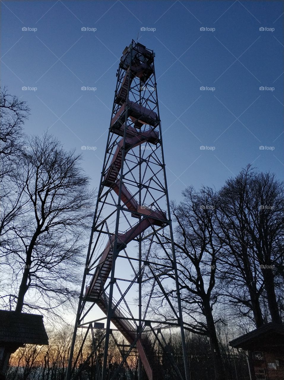 Observation tower in the forest against on the Background the sky