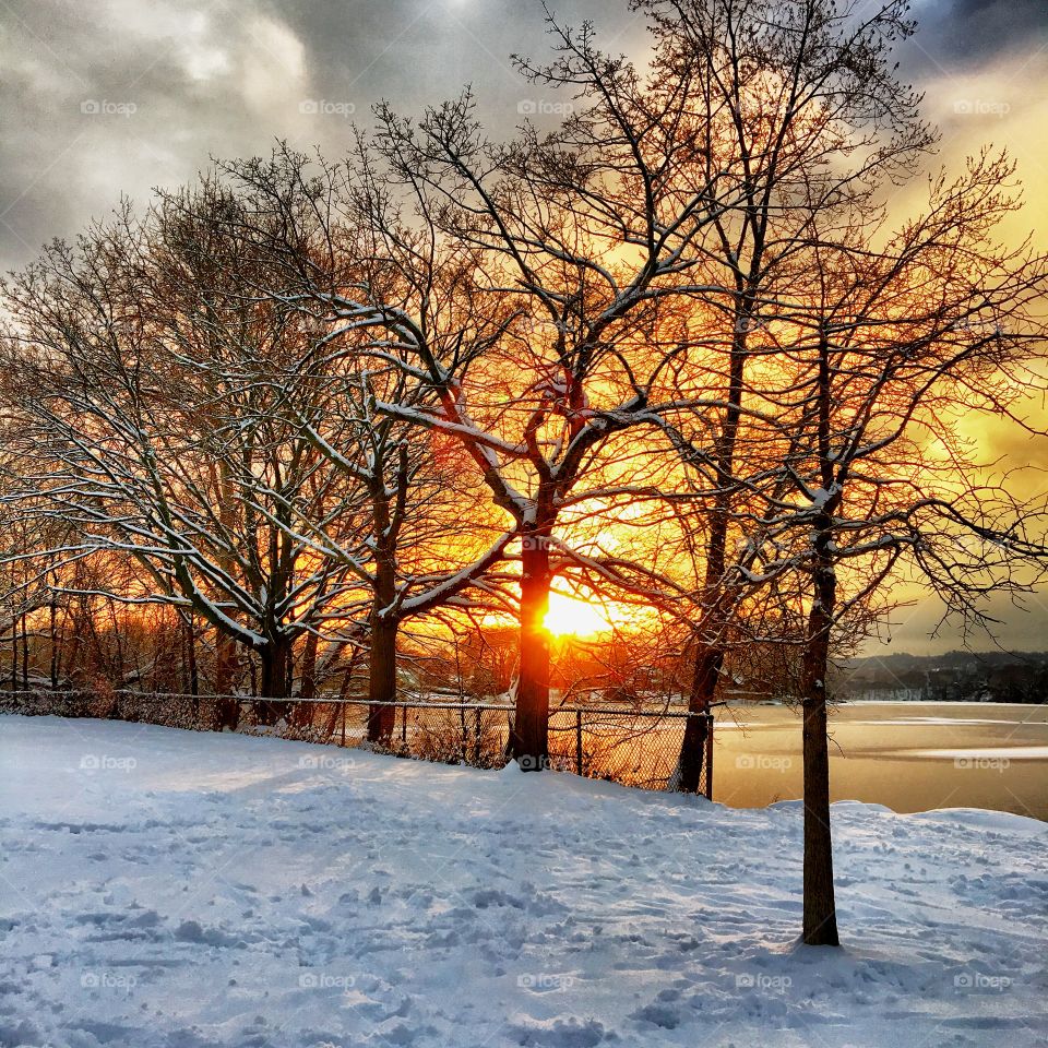 Snowy sunset in the forest