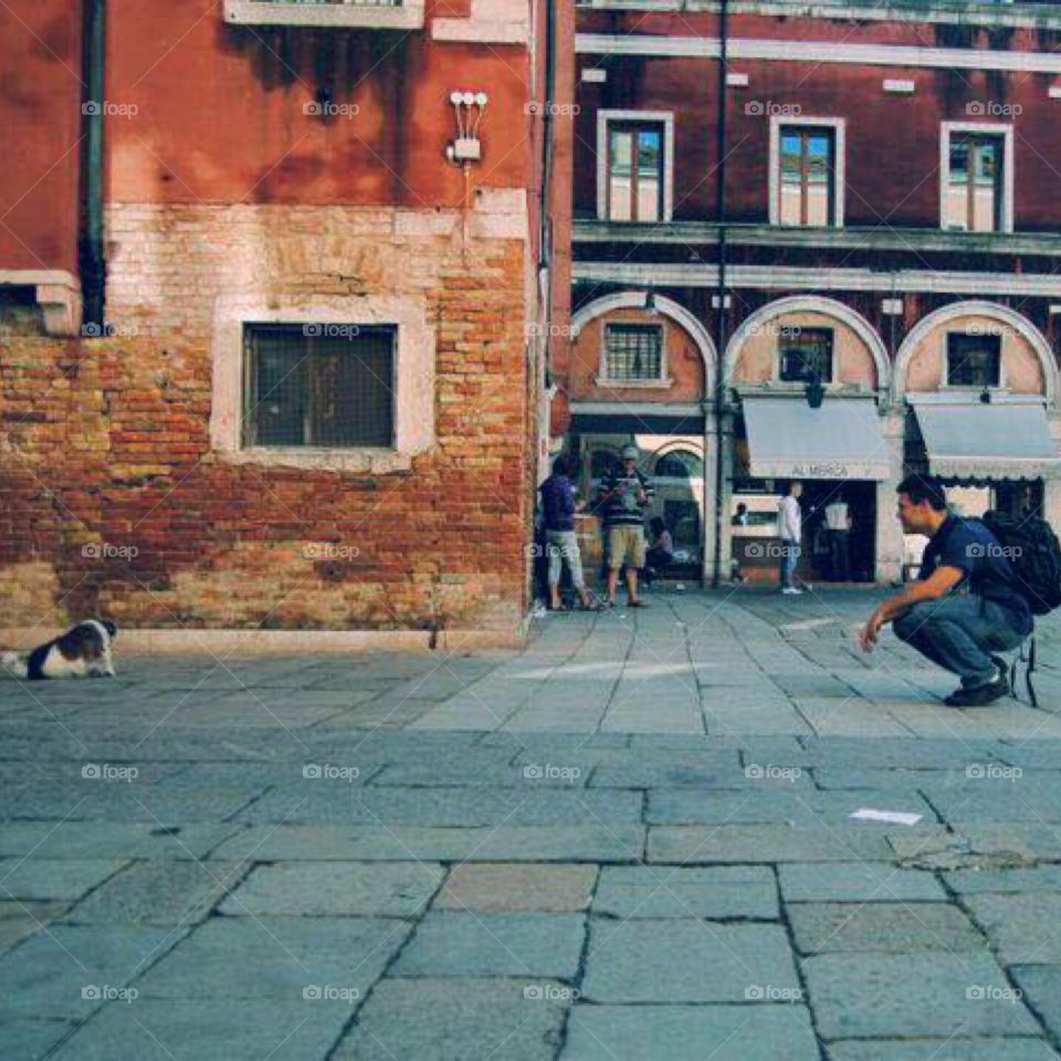 A Friend in Venice. . A stray dog & I cross paths in Venezia, Italia. 