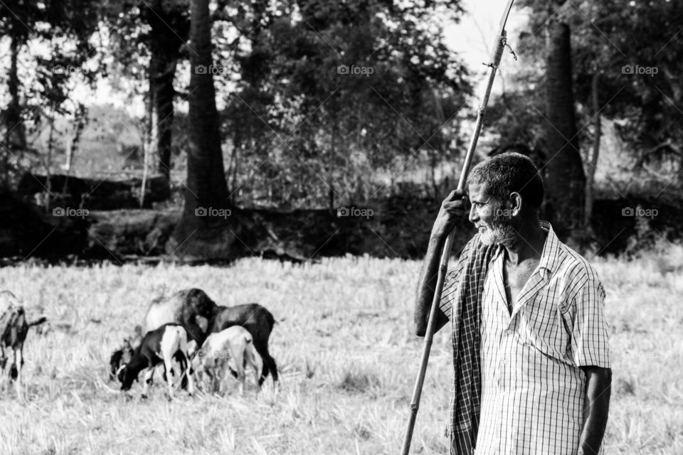 A story about a goat man that he is waiting for his goat's breakfast..  #portraitofpoverty