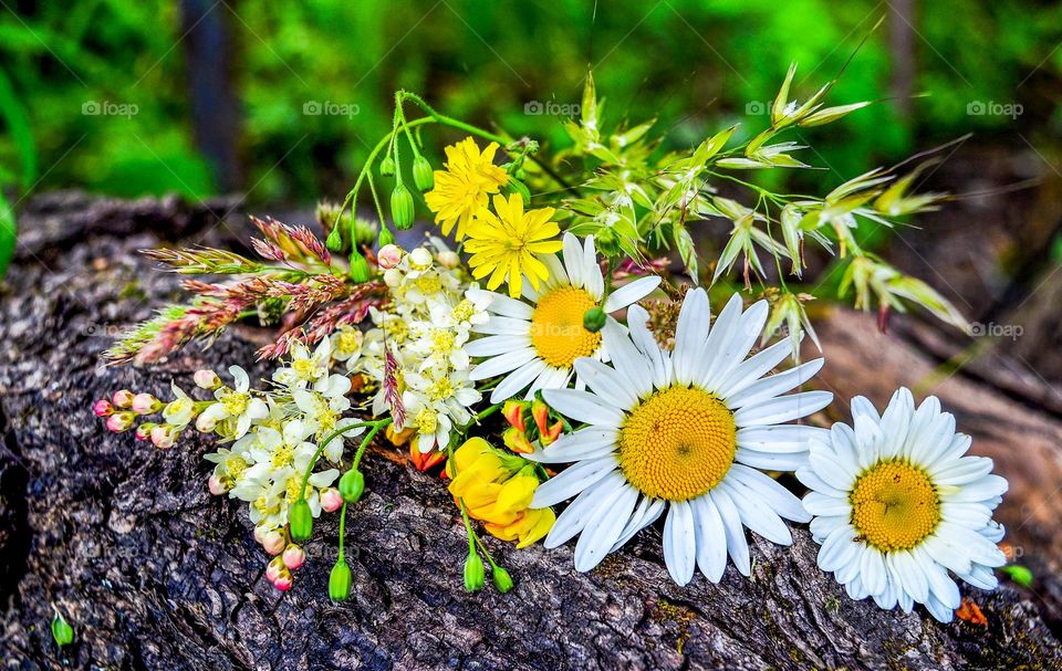 Spring Still life