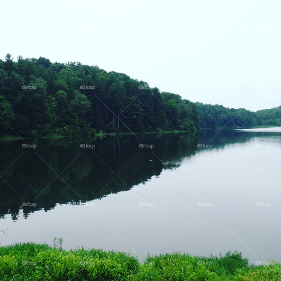 Ferdinand State Forest