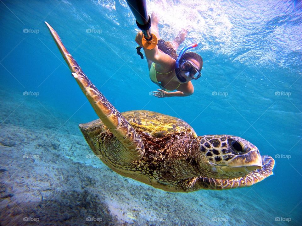 Woman snorkeling in sea