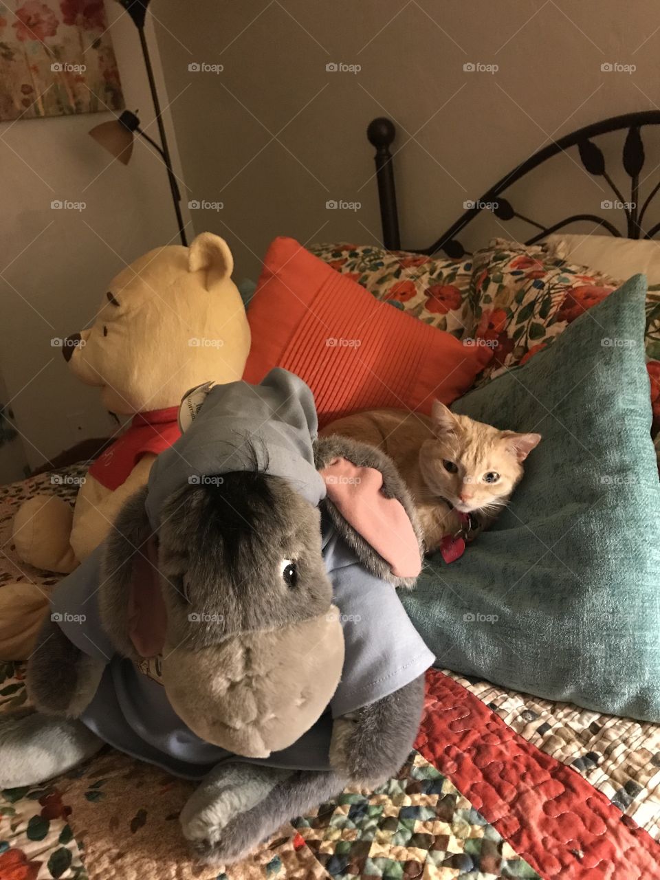 Trixy the cat and plushies 
