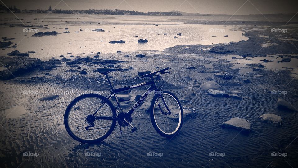 cycling at lowtide