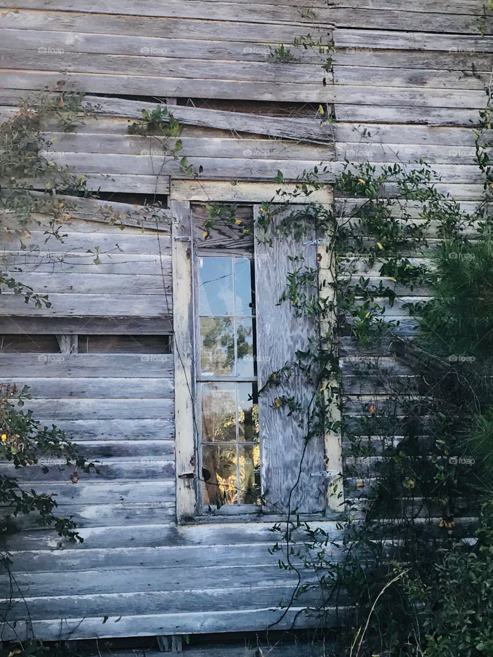 Photo of window in a historical old church in South Georgia. 