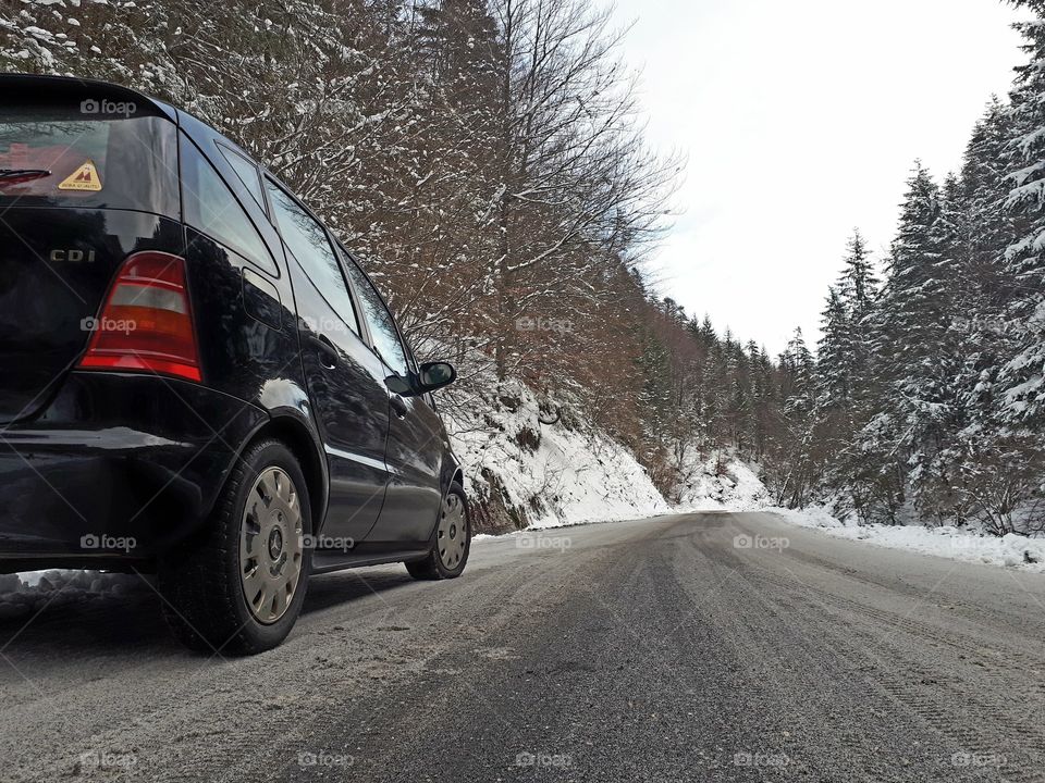 rides towards nature