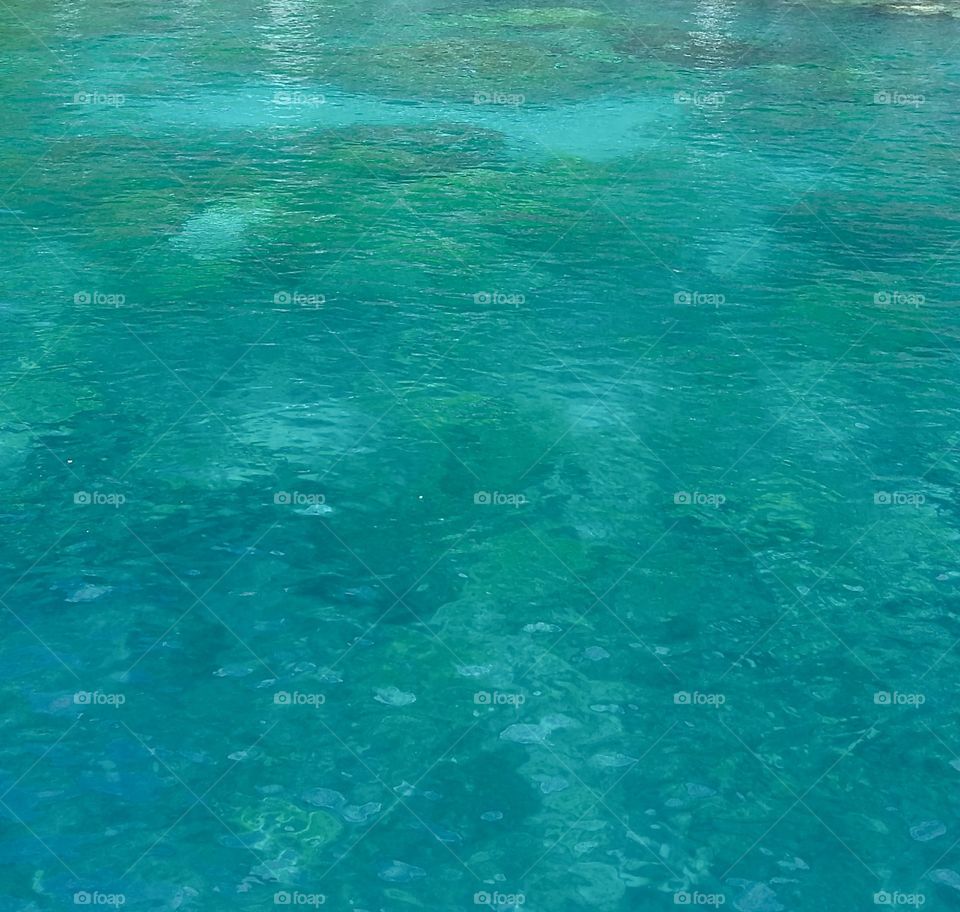 Abstract snorkeling spot