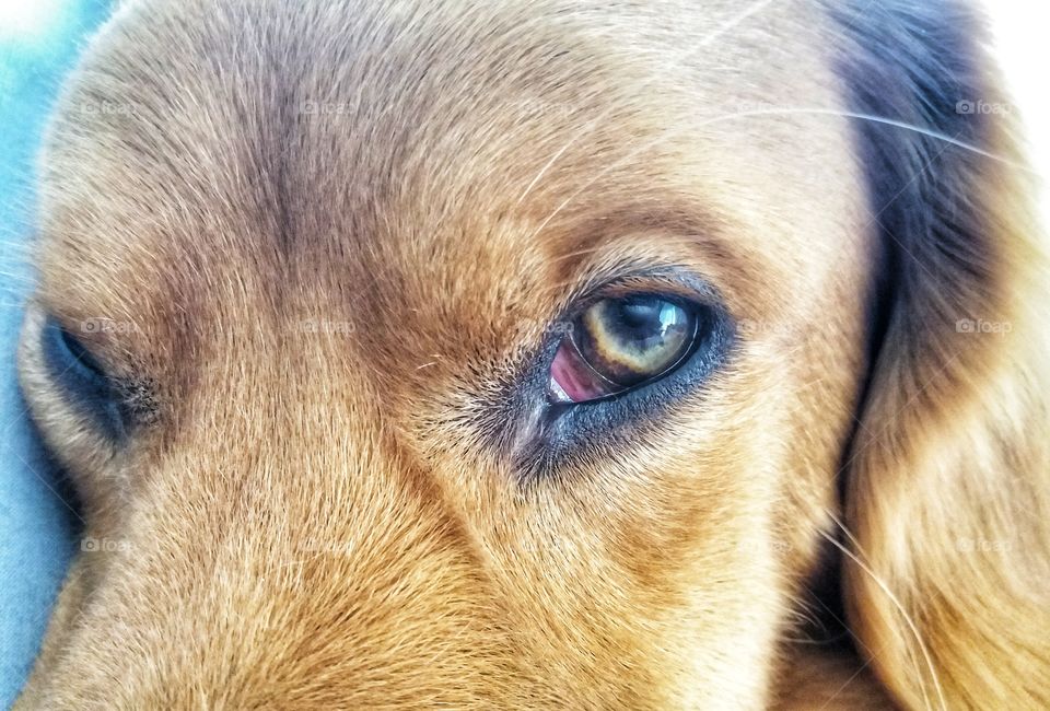 His eyes can change your world!