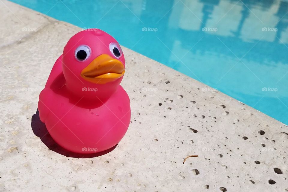 Pink rubber duck