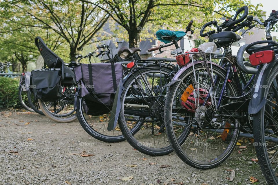 bikes in Antwerp