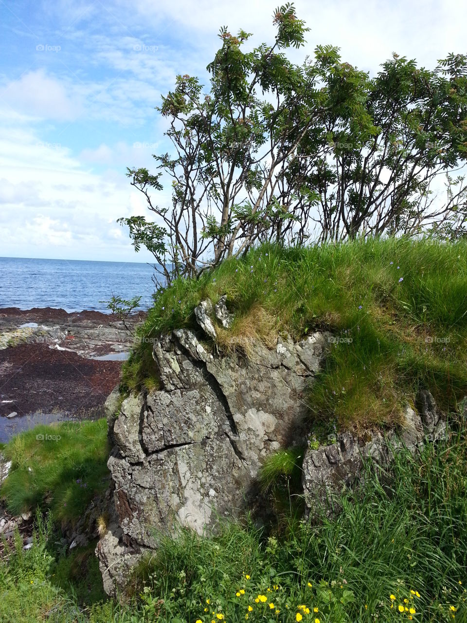 Summer vacation in Norway Runde island.