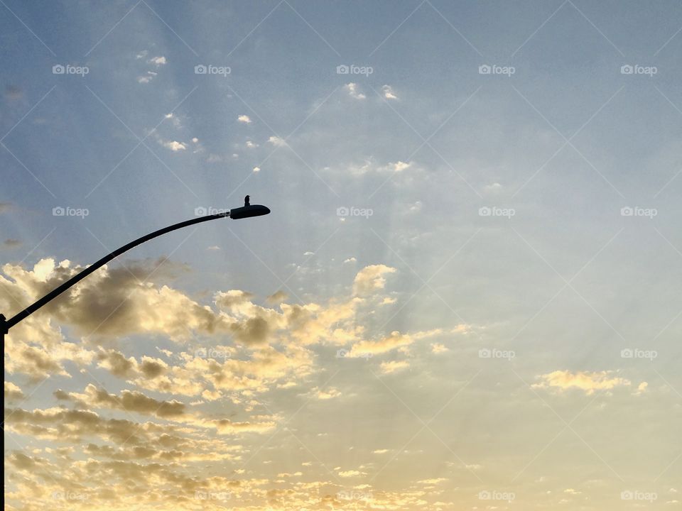 A lonely bird on top of the light post in our neighborhood street with a cloudy background.