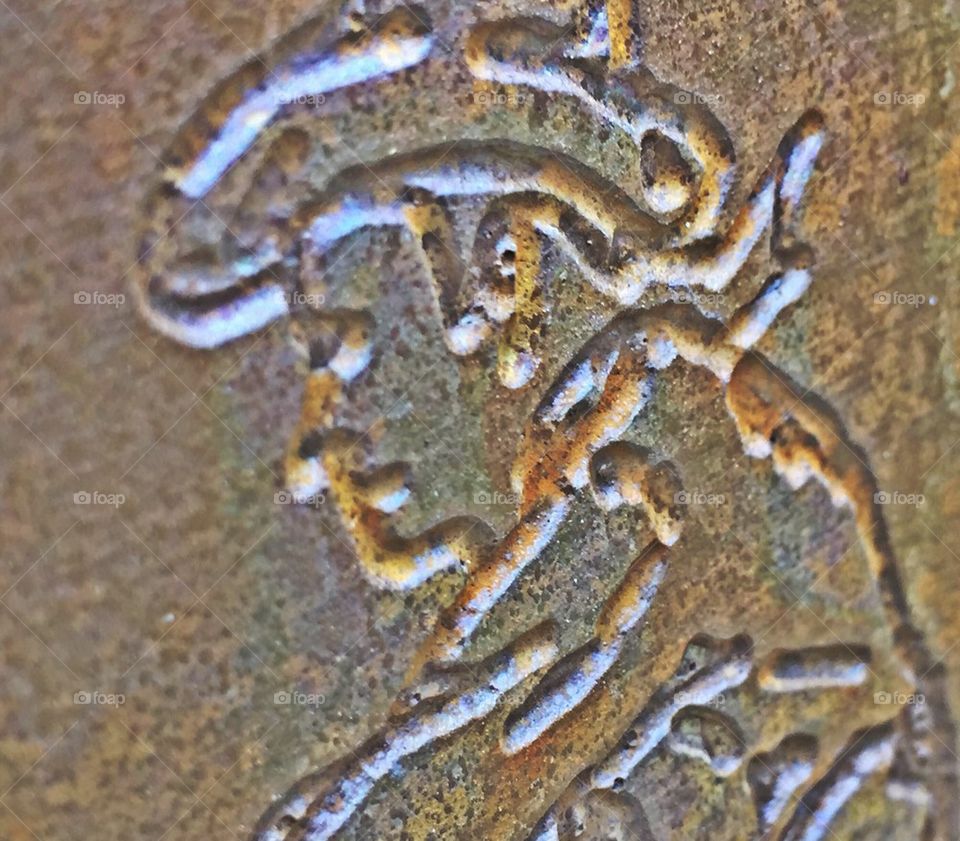 Etched Cowboy