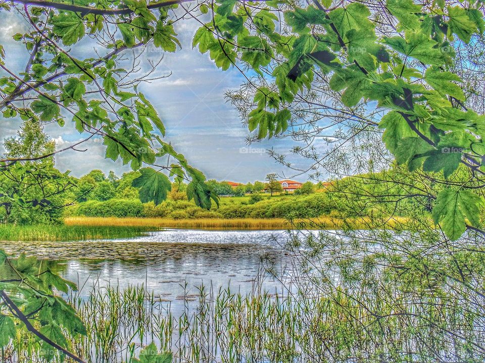 Scenic view from across the lake