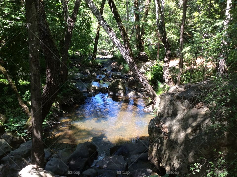 Babbling brook in forest, blue sky reflection. Babbling brook in forest, blue sky reflection