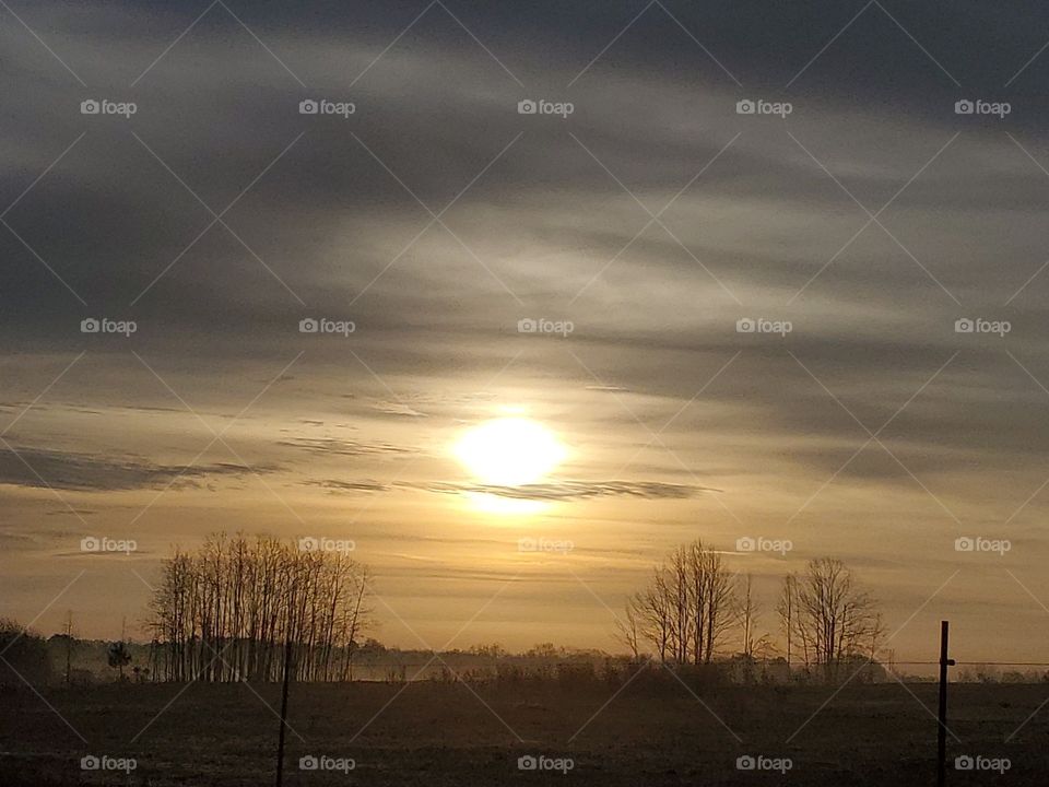 sunrise in gold and shadows