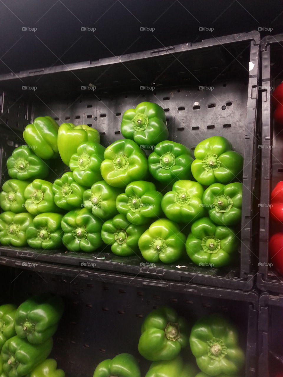 a. sea of bell peppers