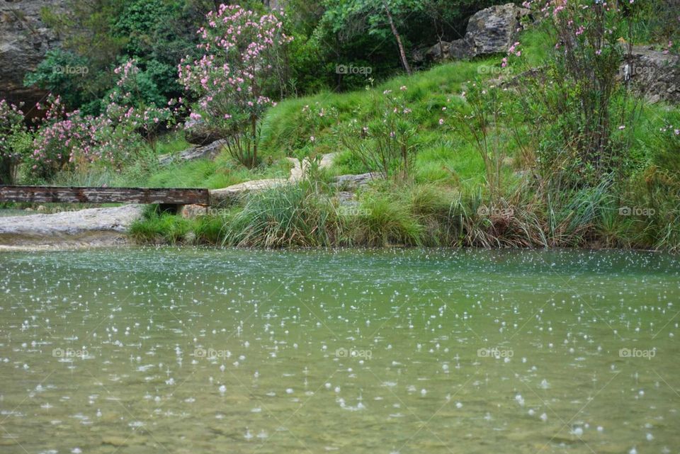 Lake#water#rain#nature