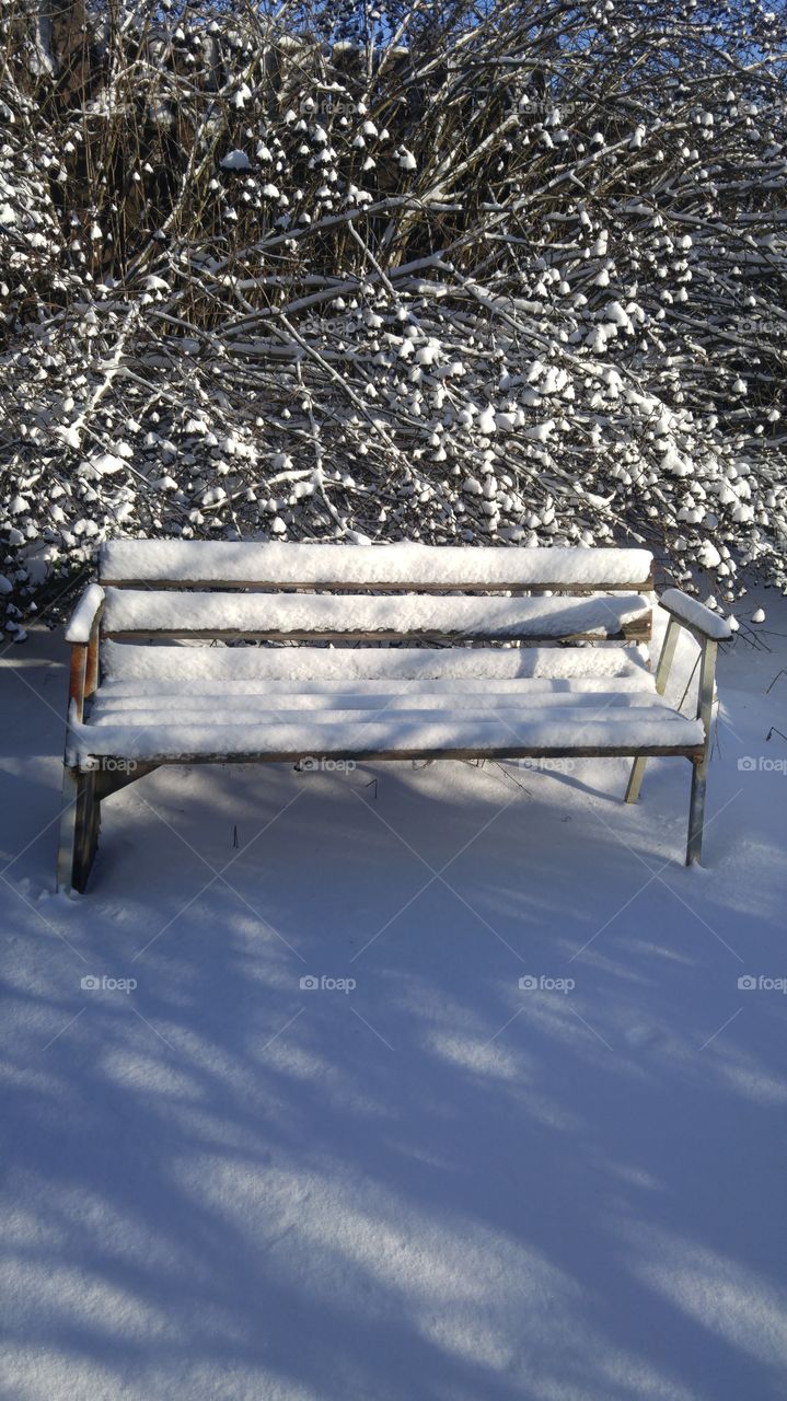 Winter. Snow. Bench