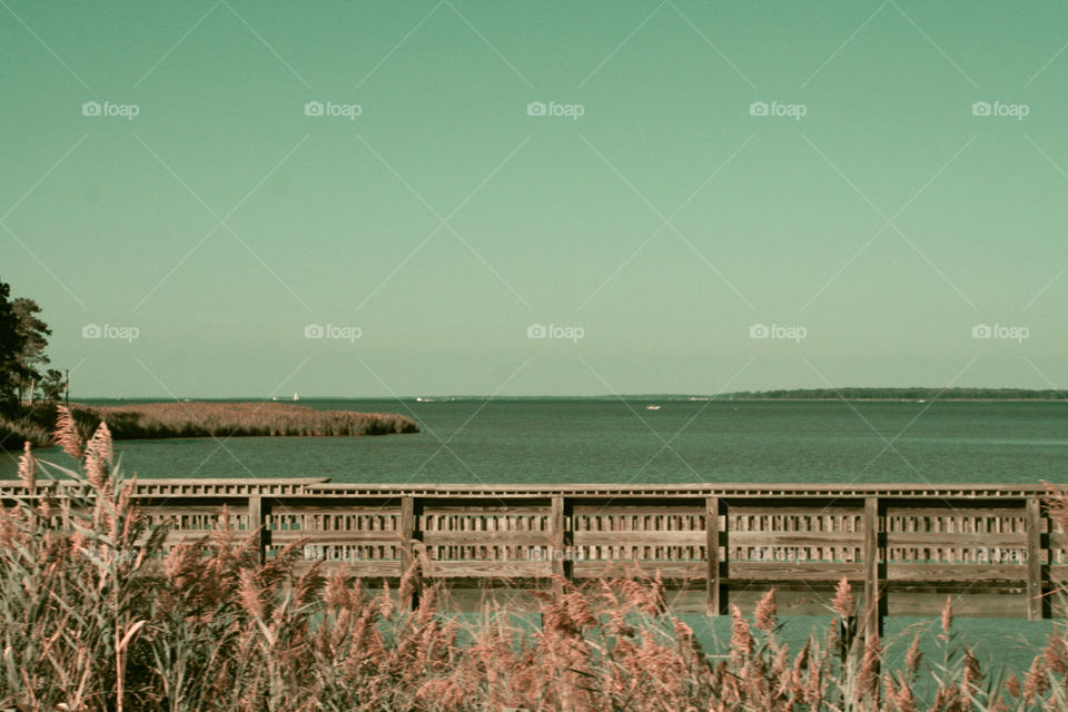 Take the Nostalgic Way Home ( Series )