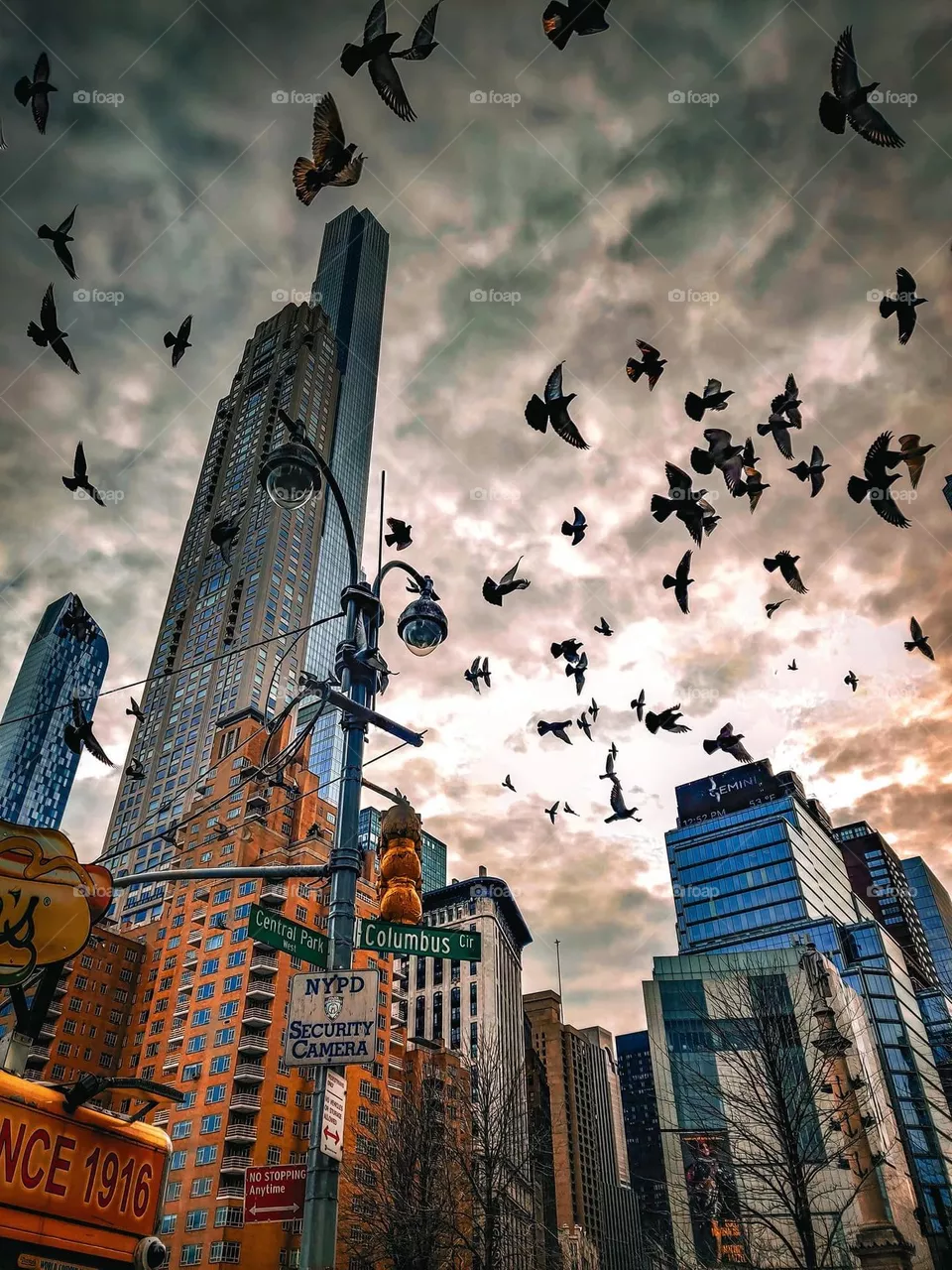 Freedom 