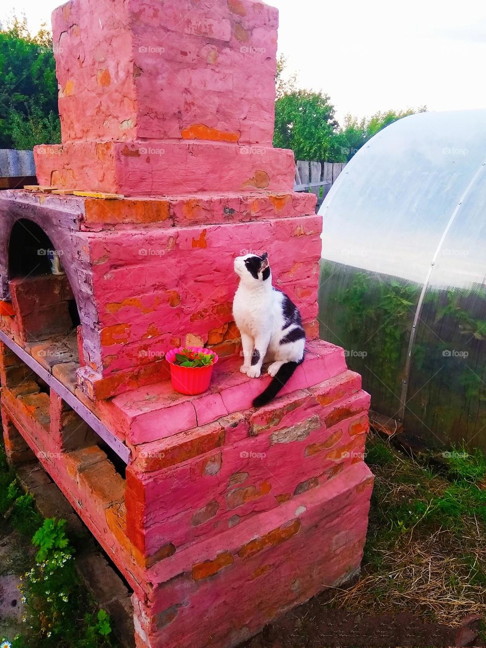 Vacation series countryside