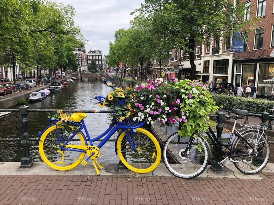 Bike Amsterdā. Holanda. 