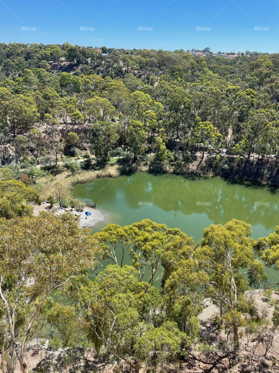 Yellow Gumm park Australia