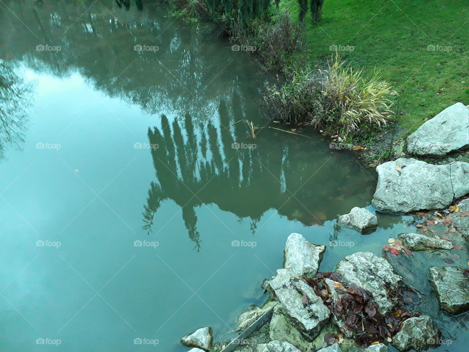 eau bleu/ reflet d'un arbre