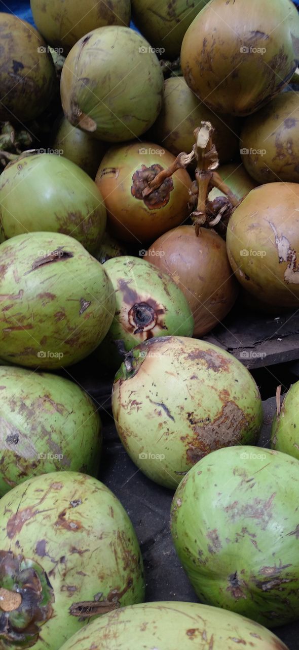 Piles of green coconuts on display.