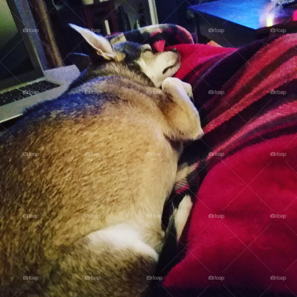 sleep