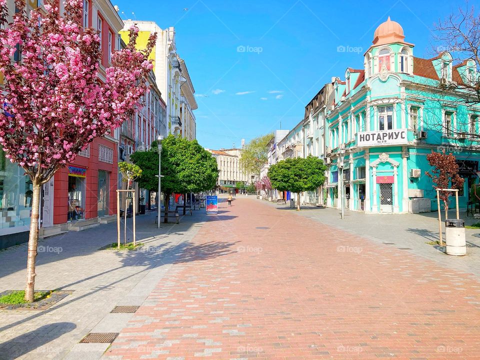 City in the spring 